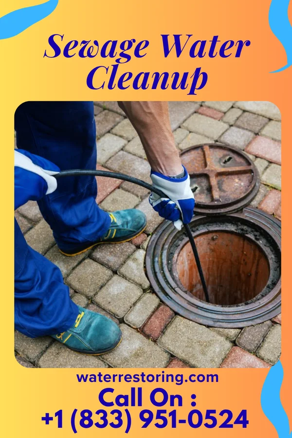 Sewage Water Cleanup in Wellsville, MO